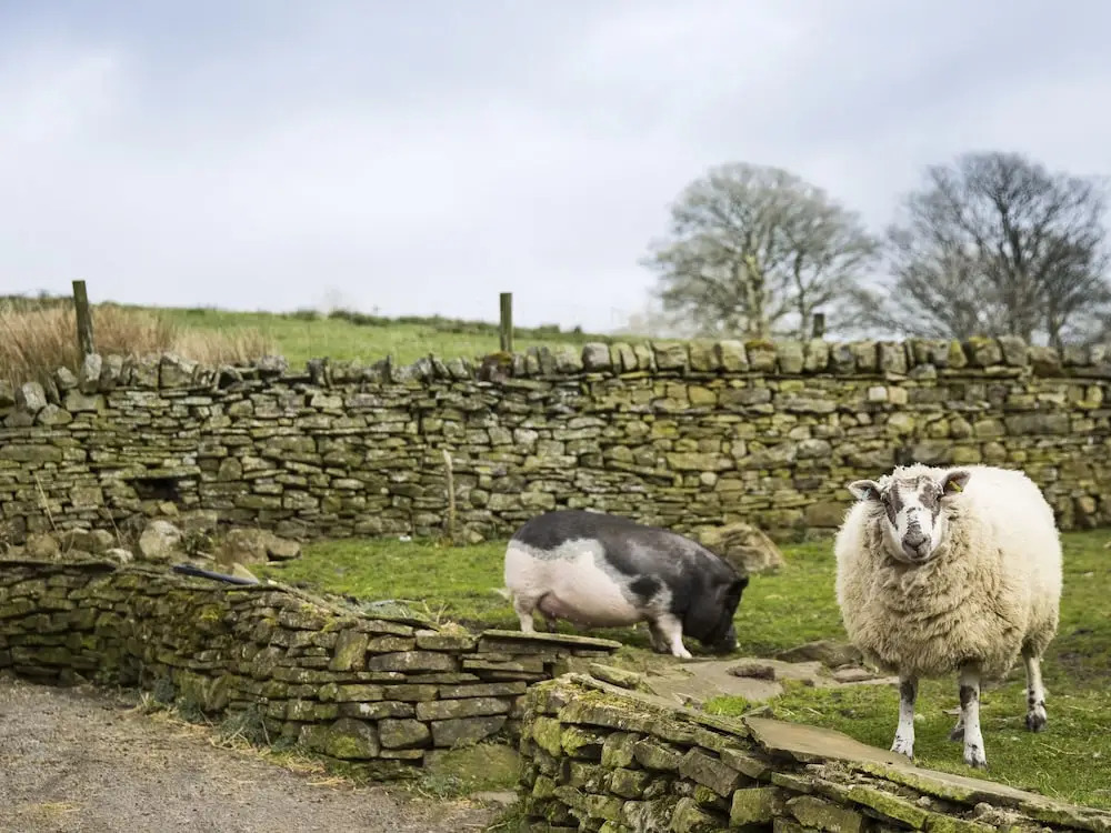 Isaacs Byre