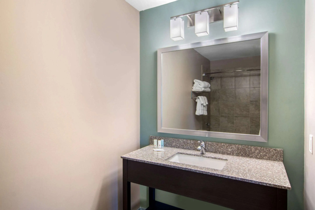 Clarion Inn & Suites Atlanta Downtown