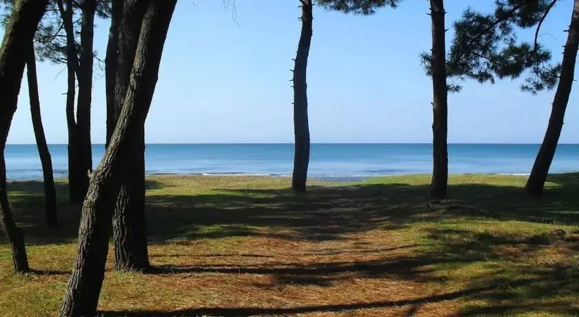 Holiday Home in Grigoleti