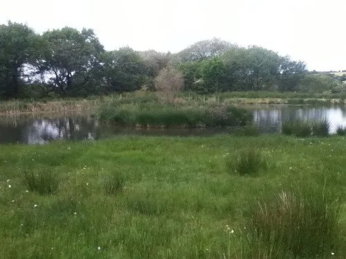 The Swallows Guest House