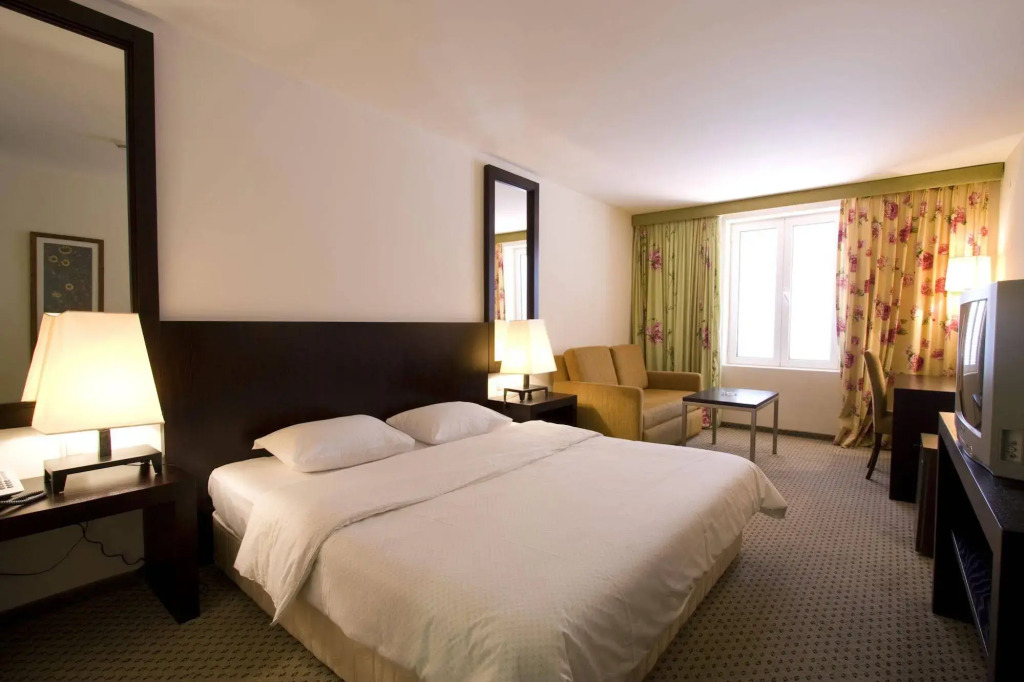 Hotel International
