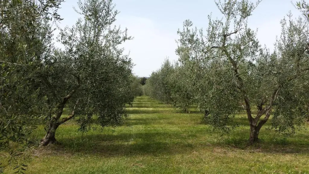 Agriturismo Podere La Cascata