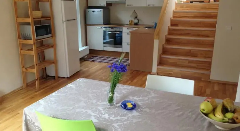 Kalevi Penthouse Apartment