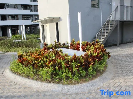 Ivy Service Apartment (Shenzhen Bay)