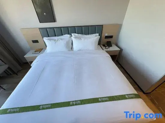 GreenTree Inn Express Hotel (Shanghai Pujiang Town Huizhen Road Subway Station)