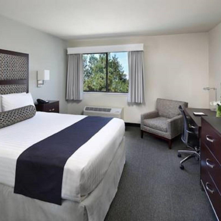 Maple Tree Inn