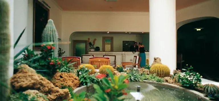 Michelangelo Terme