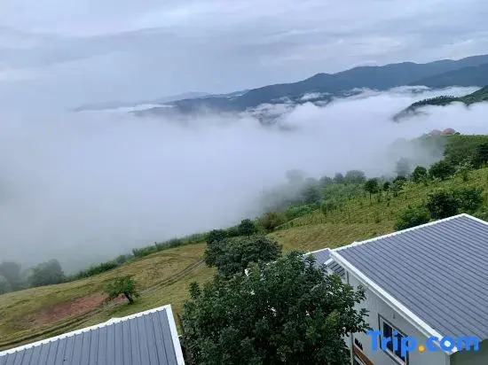 SkyVille cafe&homestay