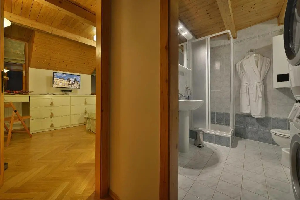 Old Town Apartments Tyn