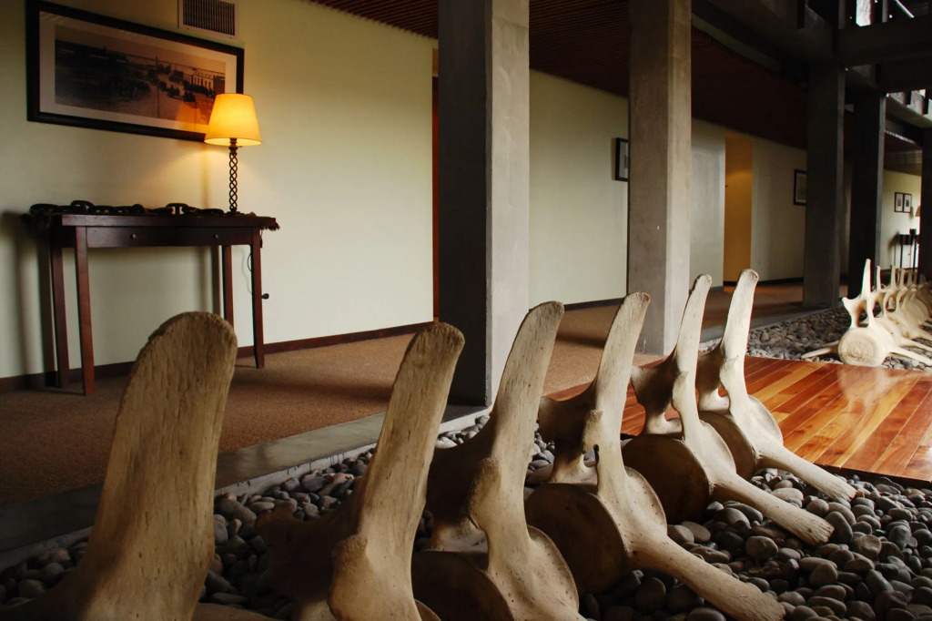 Hotel Territorio