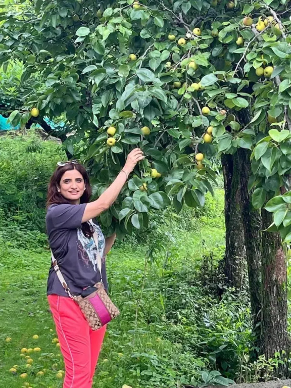 Bougainvilla Mountain Retreat Deluxe Cottages, near Bhimtal