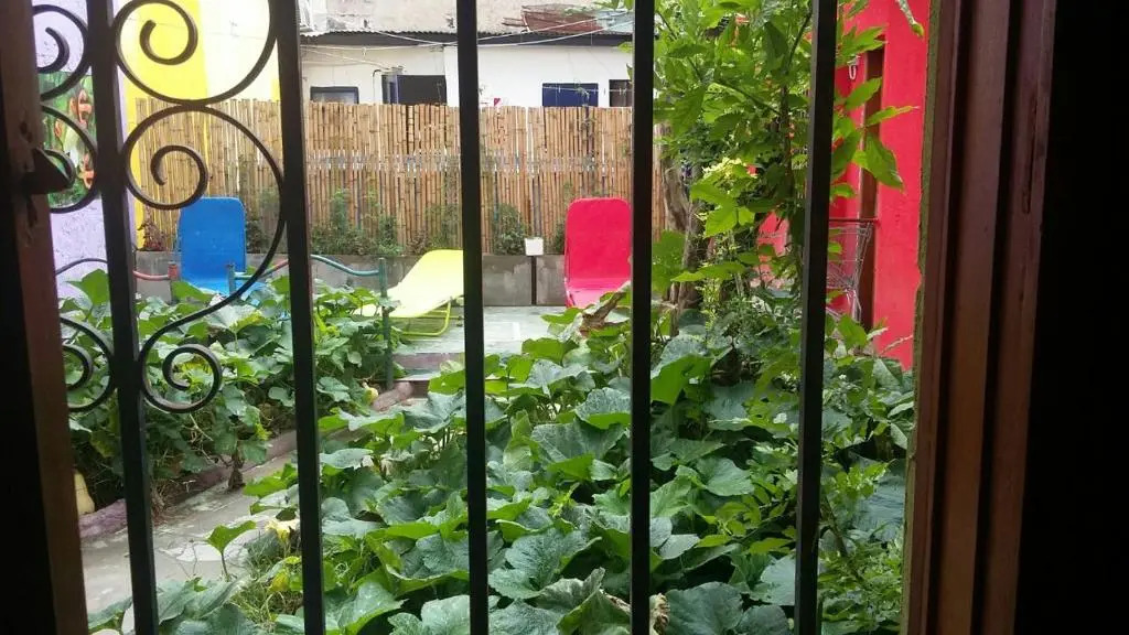 Hospedaje La Rana