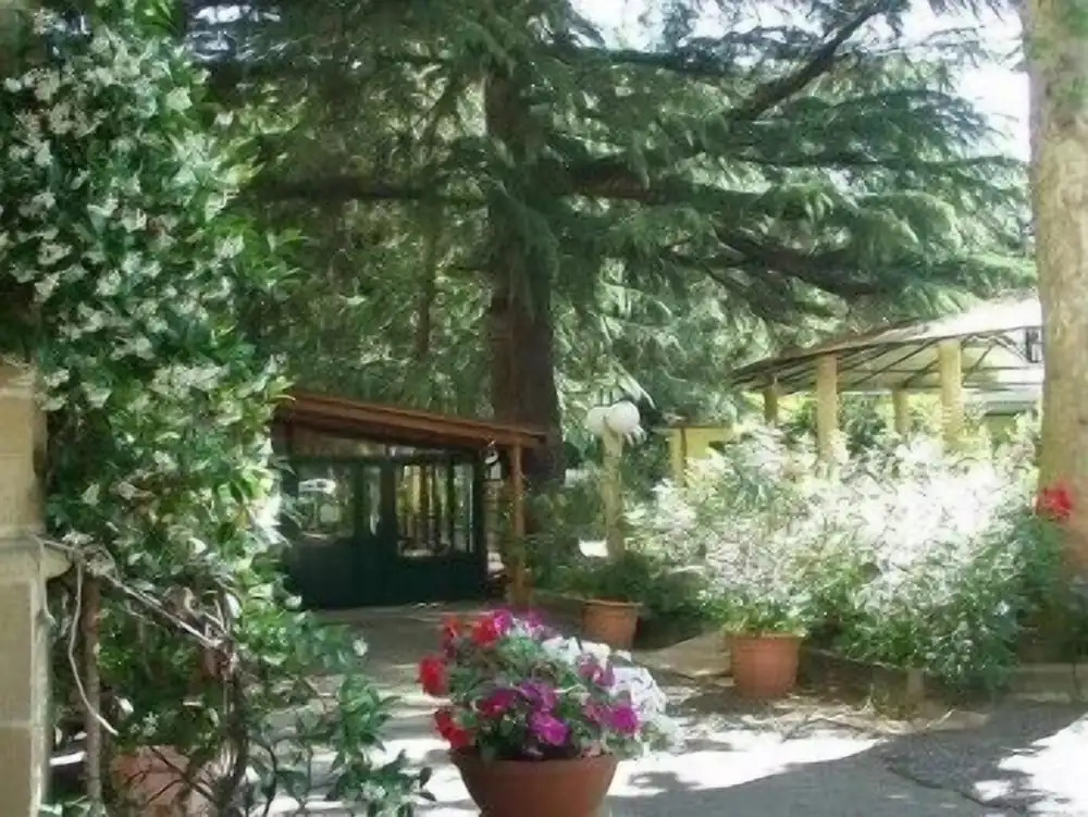 Hotel Salus