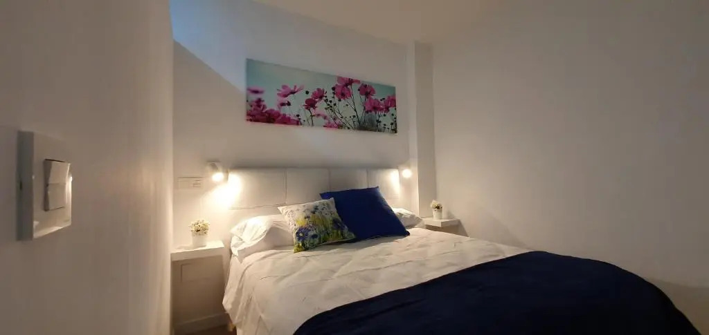 Imeda Apartamentos Recogidas