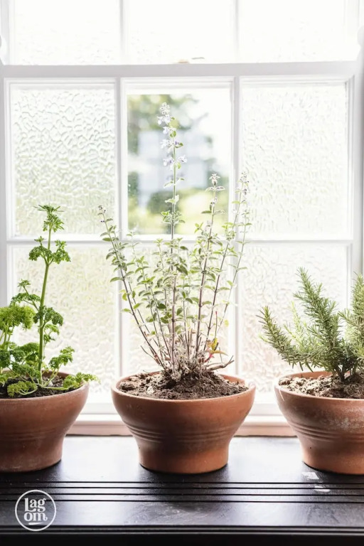 Gather - STAY LAGOM