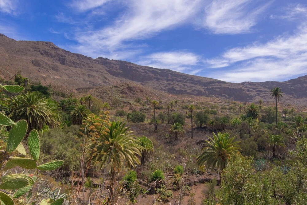 Antiguo molino en Santa Lucia