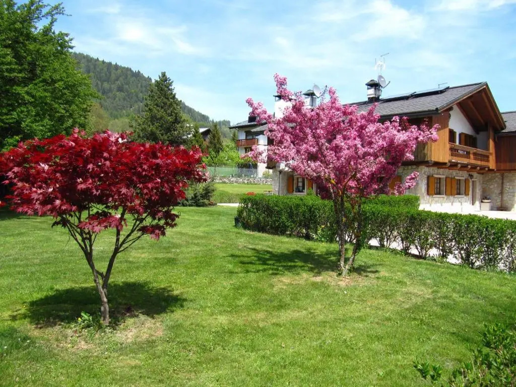 CaMilla B&B nelle Dolomiti