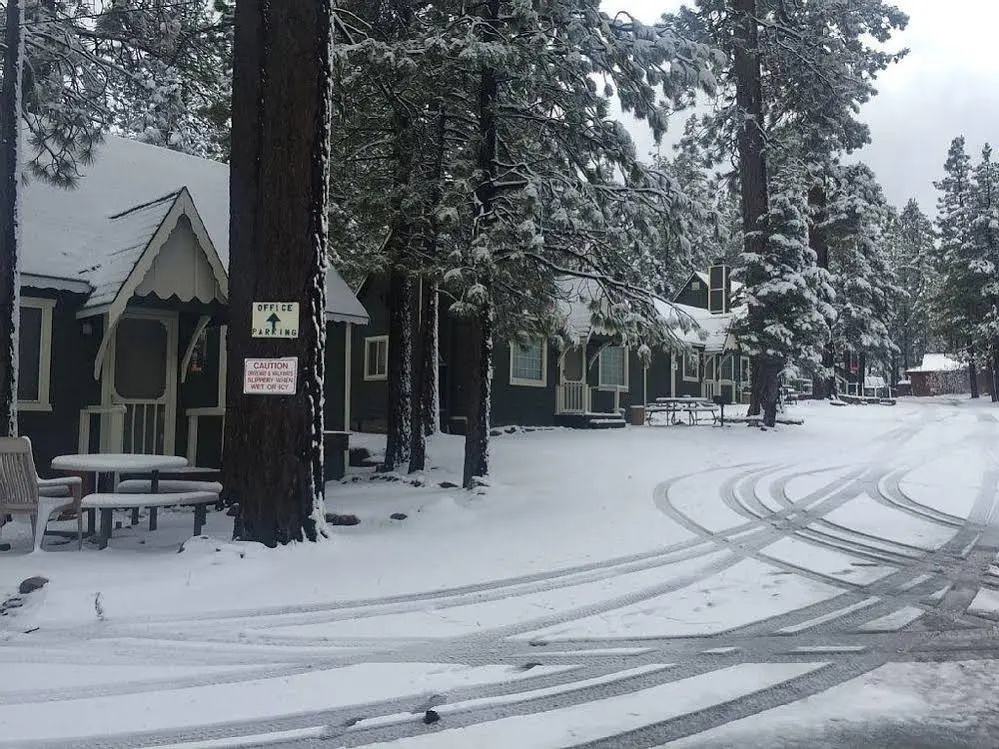 Lily Bear Resort Cal - Pines Chalets