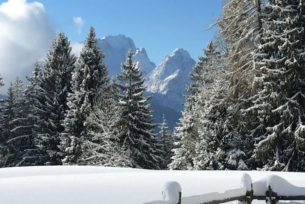 Marlena Hollental Chalet