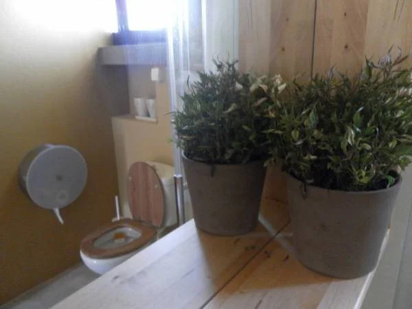 Lemon Tree Hostel