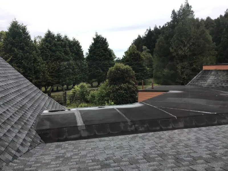 Woodland Glen Lodge B&B