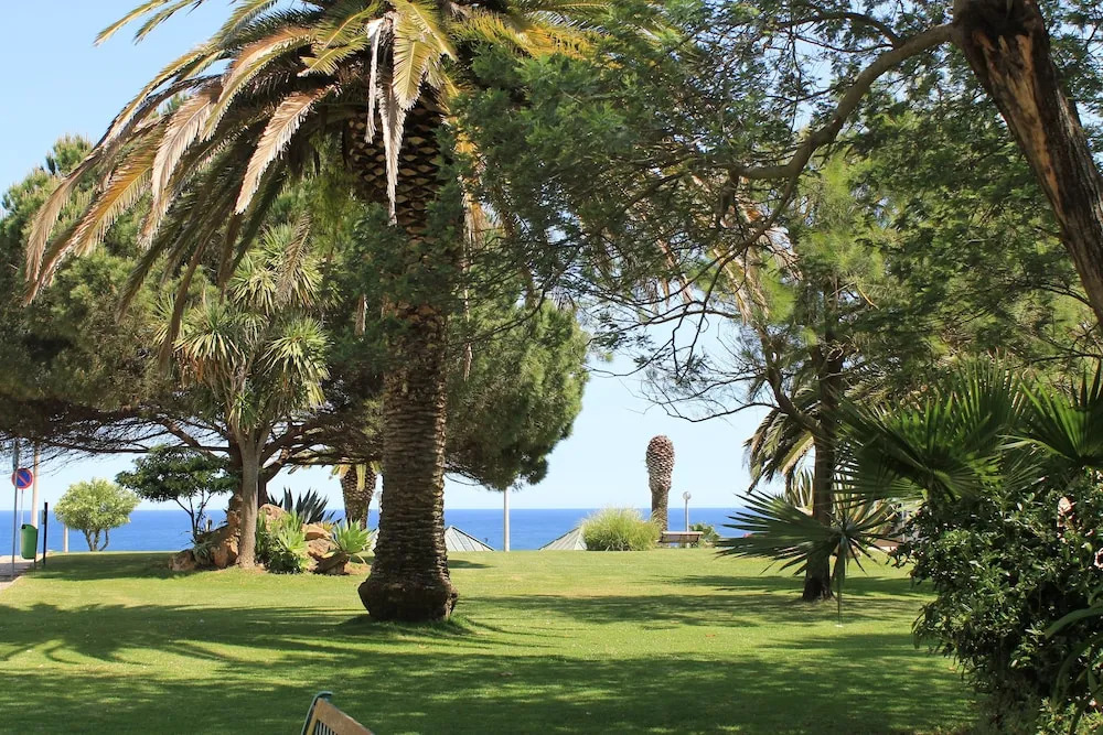 21 Nice Apartment by Dona Anas Beach