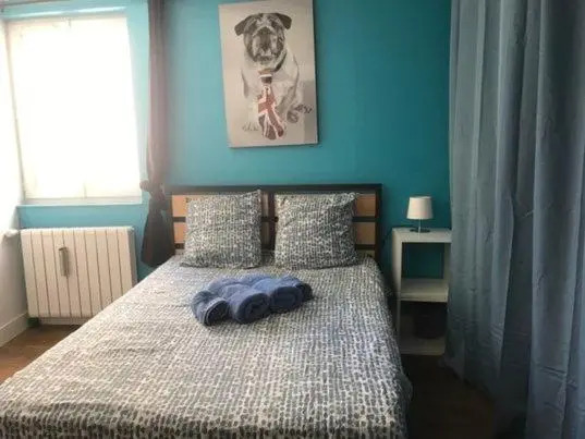 Appartement spacieux 1 chambre en CENTRE VILLE