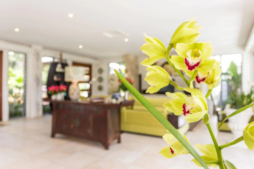 Alaya Verde Bed & Breakfast