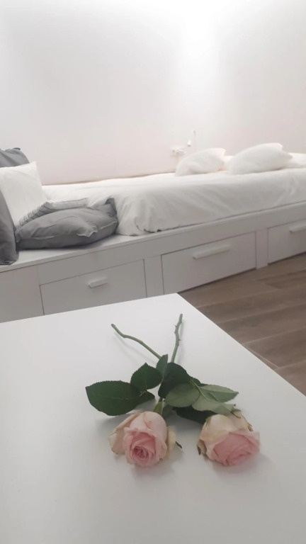 cal dalmau apartaments loft