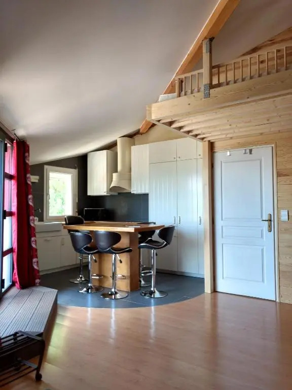 Chalet de TARA - Grand appartement esprit chalet - piscine chauffée - Genève