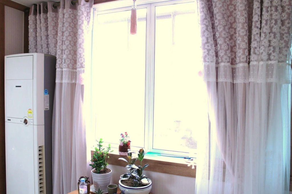 Hani Guest House