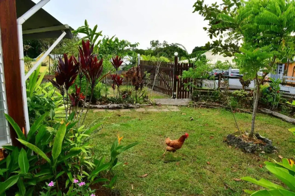 Bungalow tropical