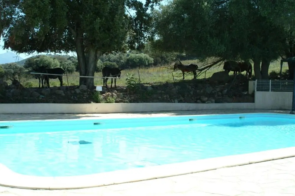 Camping U Sommalu