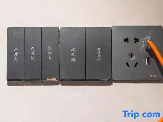 Dabu Ritz Garden Hotel (Guandu District Haile World Branch)