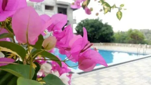 Levels Resort
