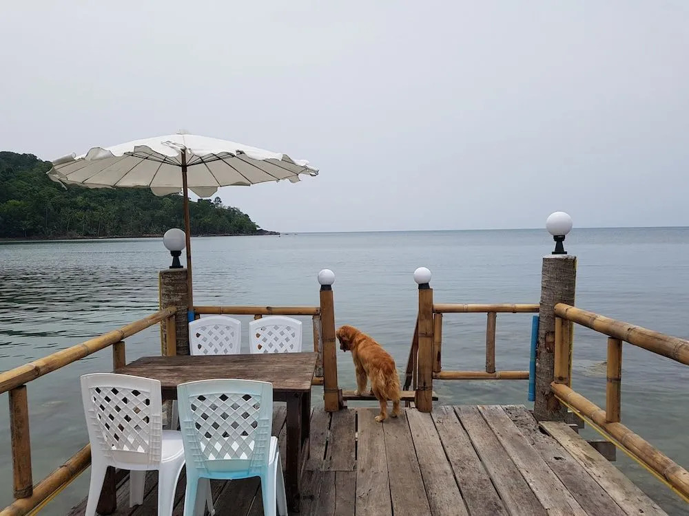 ฺBay Yard Hut