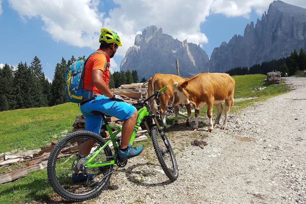 Hotel Garni Concordia - Dolomites Home