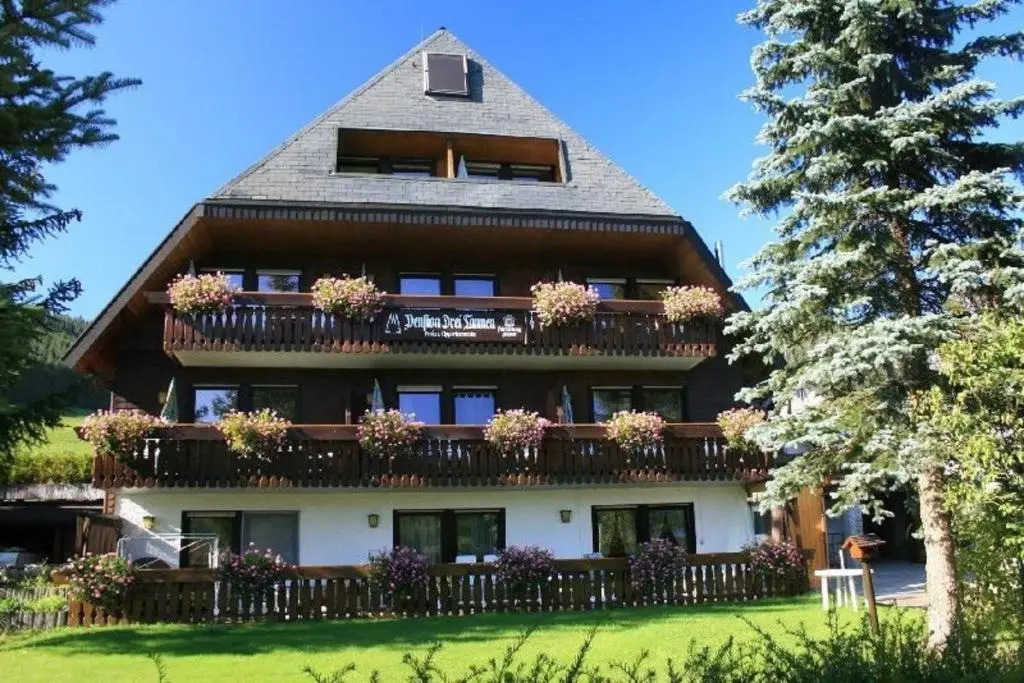 Drei Tannen - Wohnung 07 - Apartmenthaus, Titisee, Feldberg