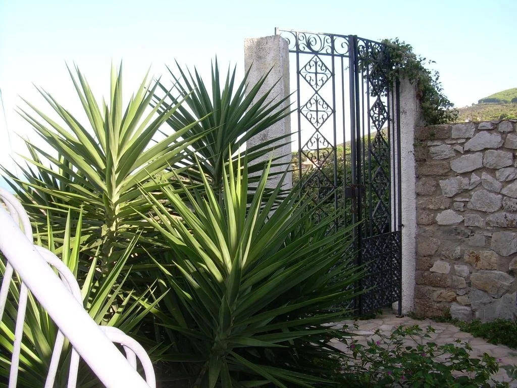 Albergo Golfo Azzurro
