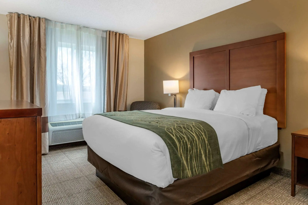 Comfort Inn & Suites Dimondale - Lansing