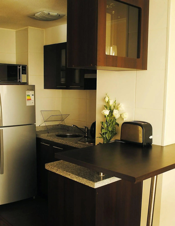 Santiago Furnished Apartments
