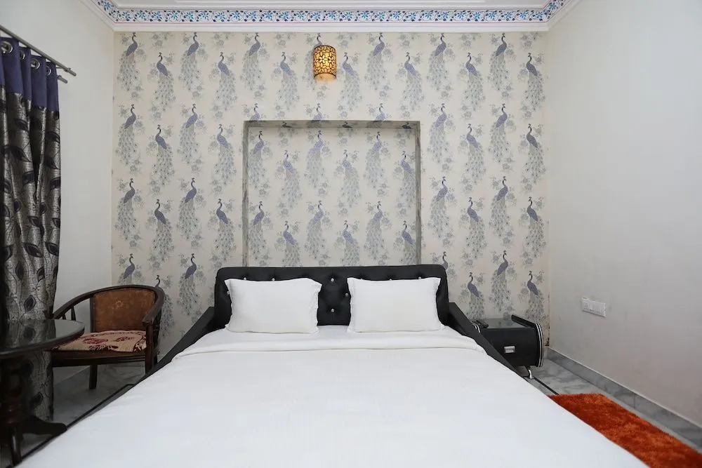 OYO 9540 Home Heritage near City Palace