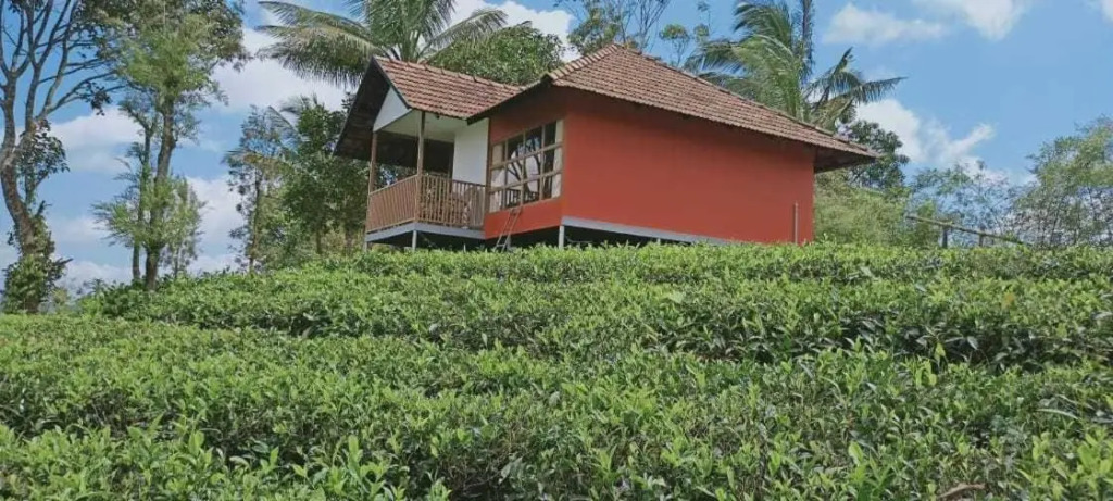 Jungle Edge Resort by Z Vacations