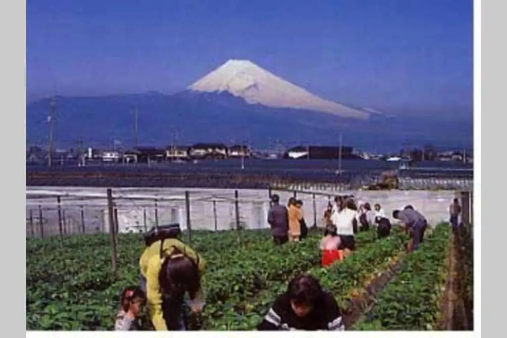 ゲストハウス+カフェわ　１日１組限定！ 築１００年の農家の古民家で宿泊体験、薪でお風呂沸かせます。焚き火もできます。