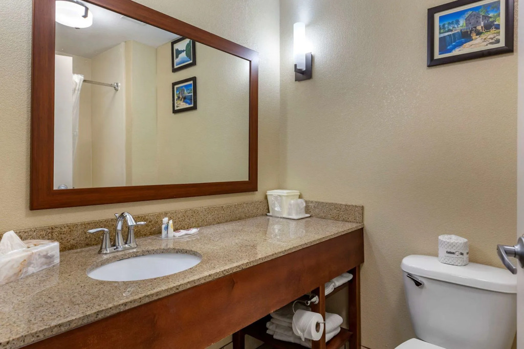 Comfort Suites Clayton - Garner