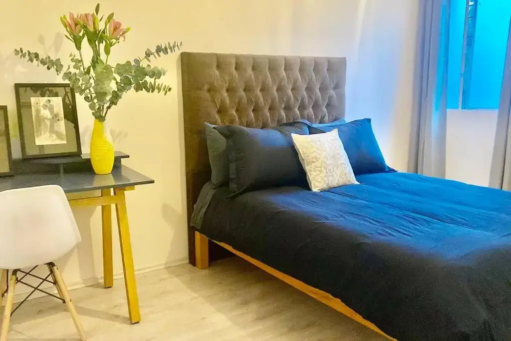 Amazing Cozy Apartment in Condesa