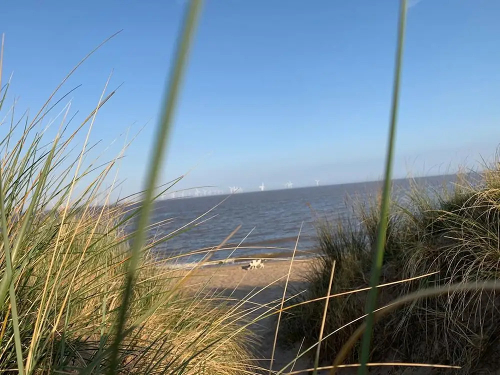Beachside Home - Sleeps 5, Garden, Parking & Pets