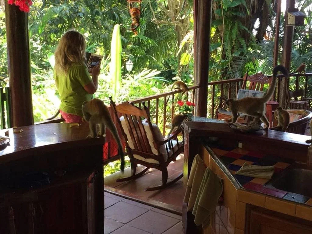 Jungle Villa