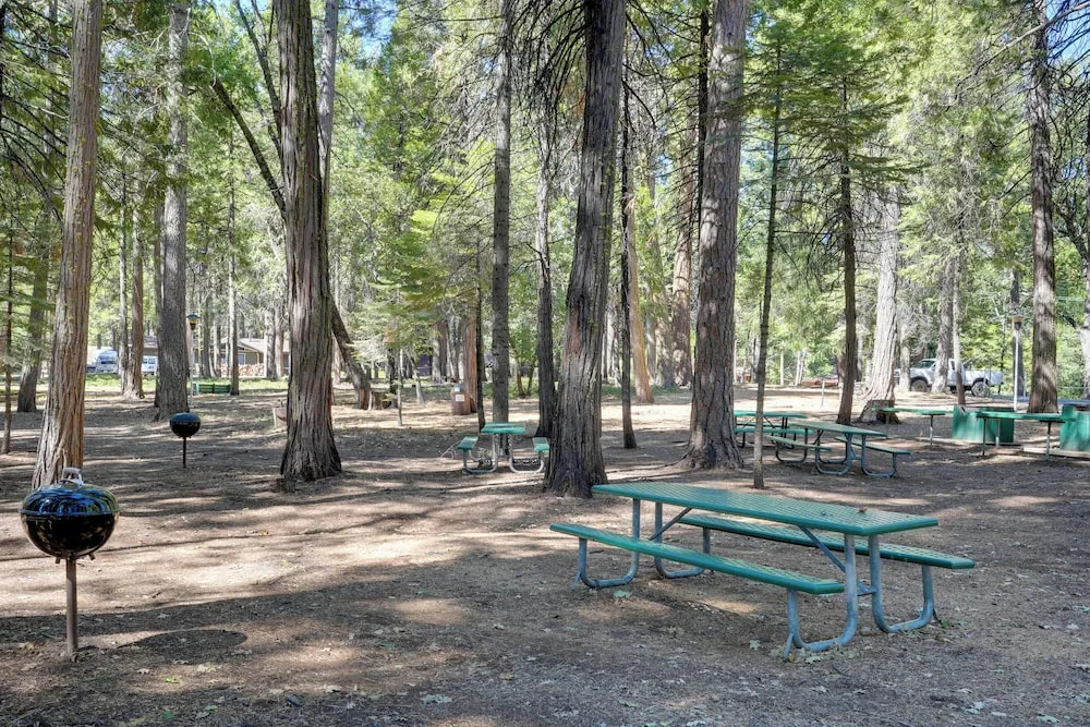 12 Mi to Apple Hill: Family-friendly Cabin Retreat