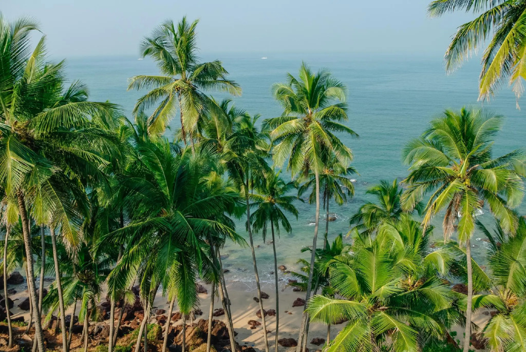 Hotel Cupids Castle Palolem